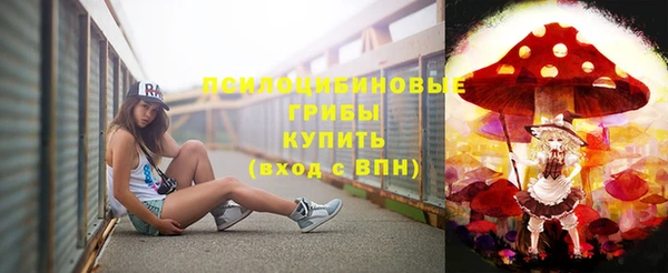 бошки Волоколамск